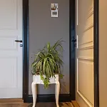 Eigenheimer Simpelveld